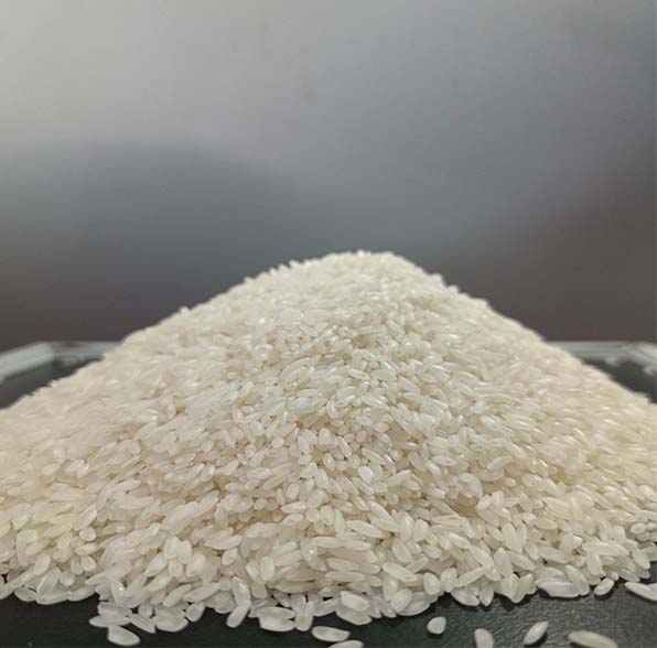 white rice