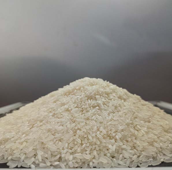 white rice